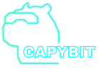 capybit logo